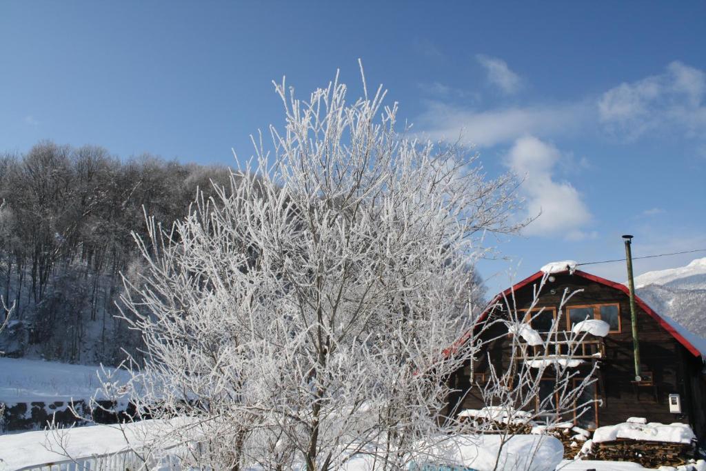 Goryo Guesthouse NakaNakafurano Buitenkant foto